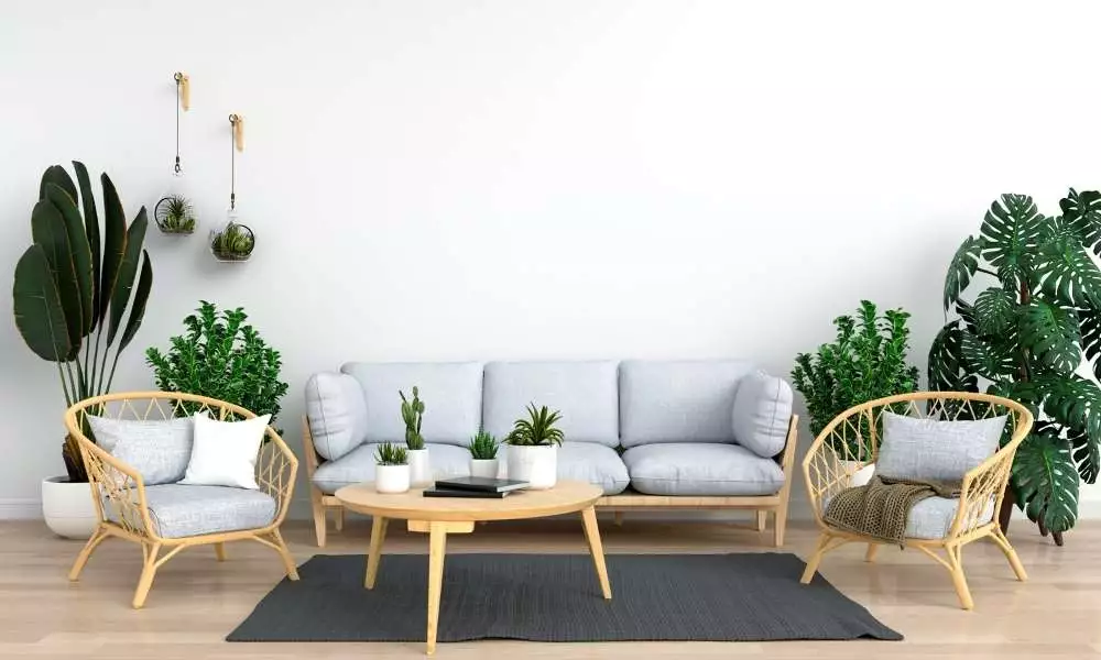 How To Decorate Living Room With Plants
