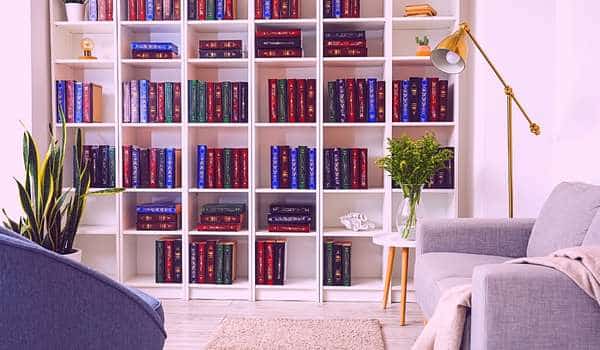 Bookcase in living room