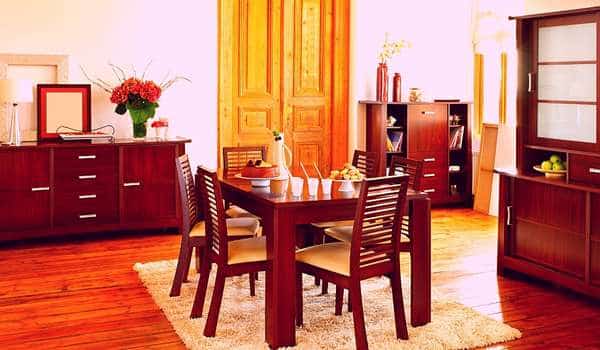 What is a rug door dining room and what are the benefits?