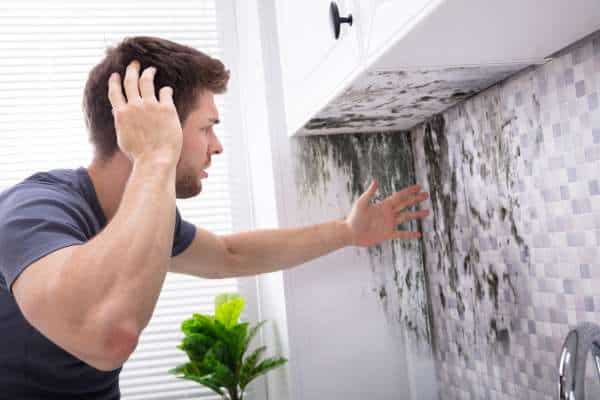 Addressing Any Mold Or Mildew