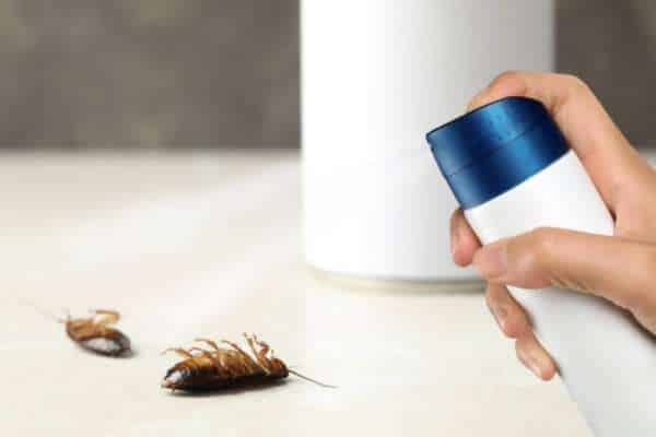 Diy Cockroach Deterrent Sprays