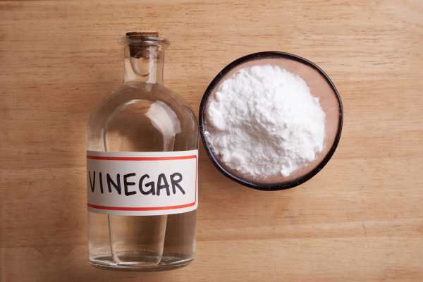 Can I Use Any Type Of Vinegar?