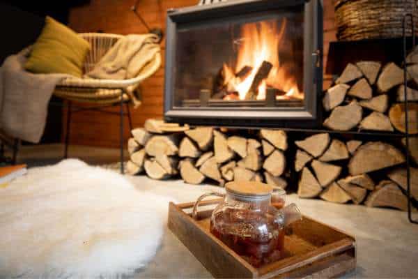 Choosing the Right Wood for Wood Burning